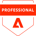 Adobe Professional Commerce Developer