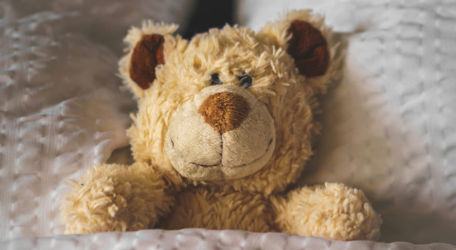 Be My Bear
