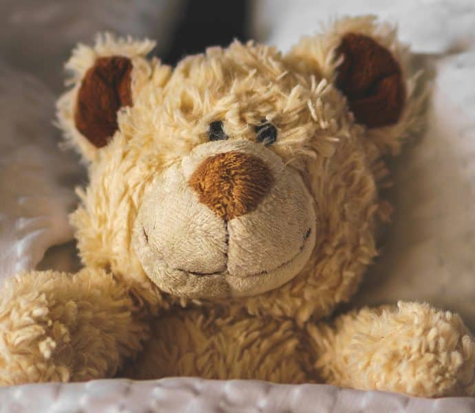 Be My Bear Case Study